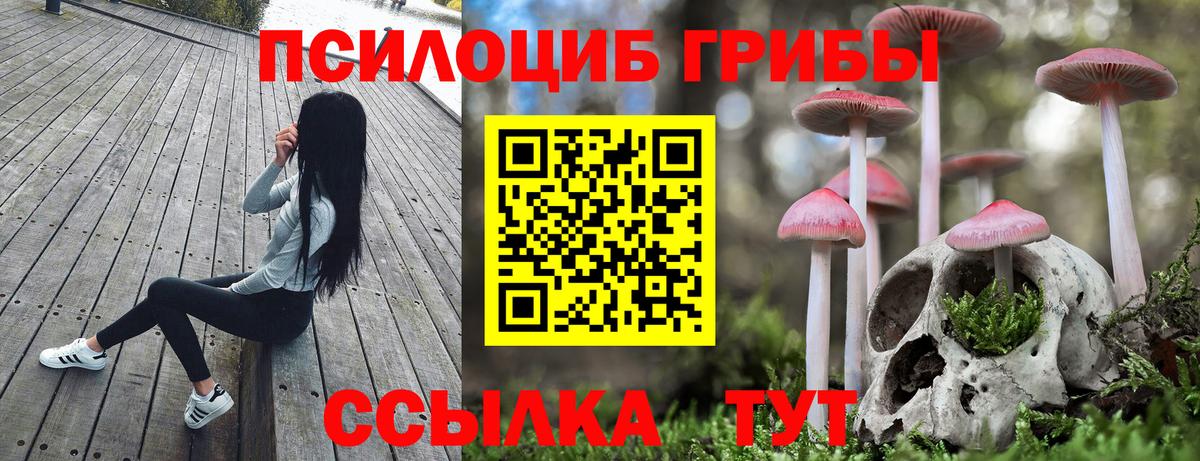 Галлюциногенные грибы мухоморы Обь